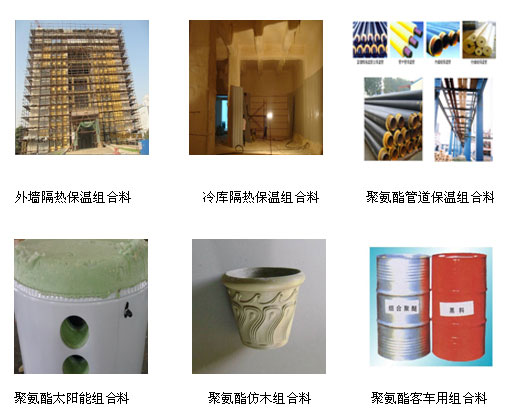 主營業(yè)務